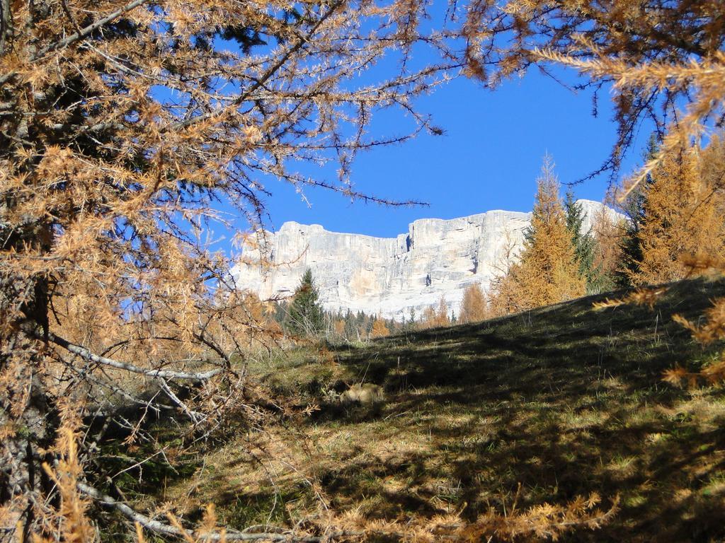 Hotel Garni Irsara San Cassiano  Zewnętrze zdjęcie