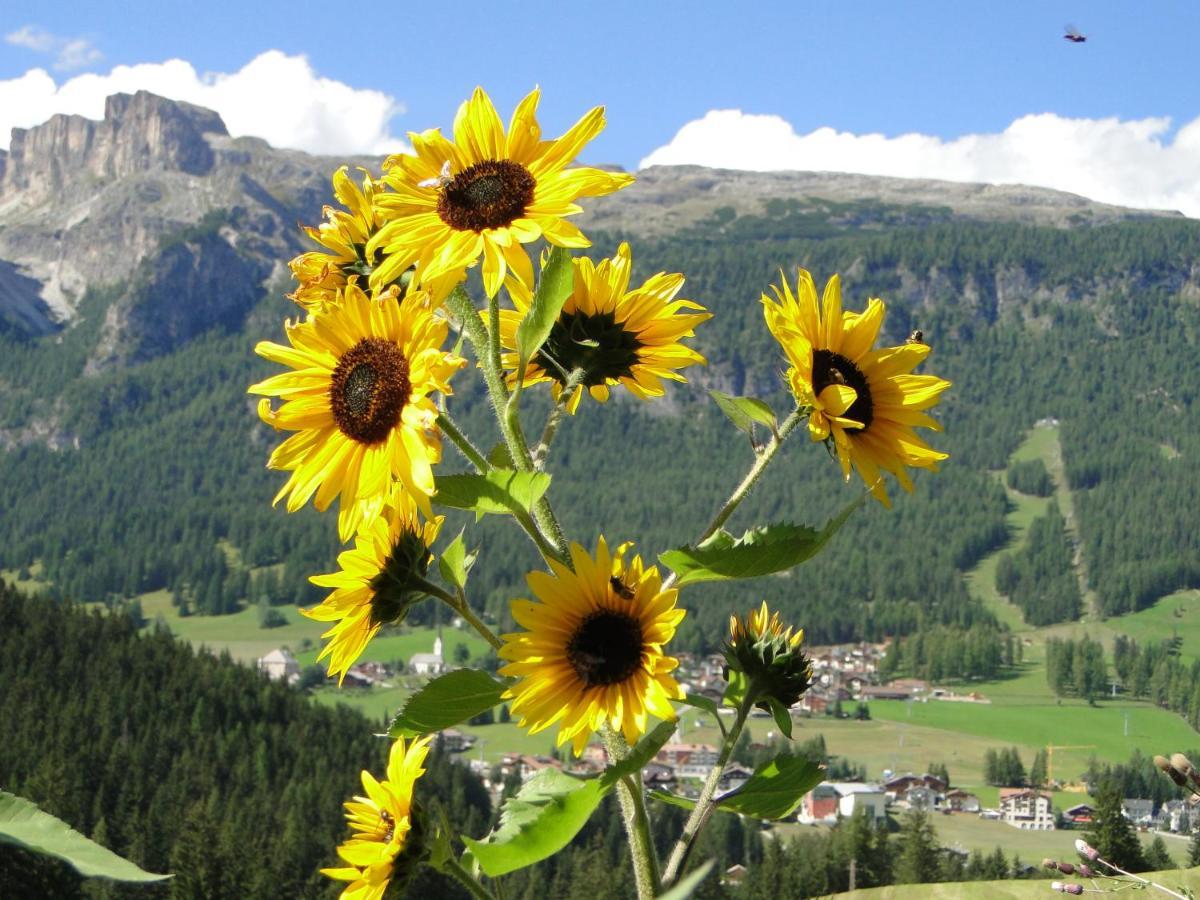 Hotel Garni Irsara San Cassiano  Zewnętrze zdjęcie